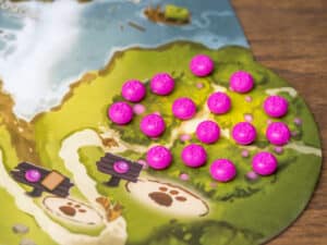 Juego de Mesa Everdell - Español - Imagen 5