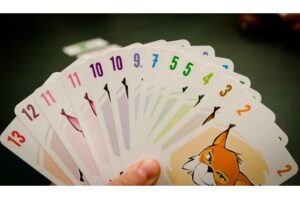 Juego de Mesa Abluxxen - Imagen 4