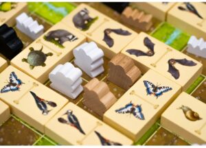 Juego de Mesa Renature - Imagen 6