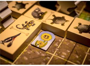 Juego de Mesa Renature - Imagen 8