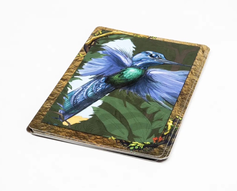 Juego de Mesa Spirit Island: Expansión Feather and Flame – Español - Imagen 4